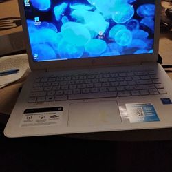 Hp Notebook 