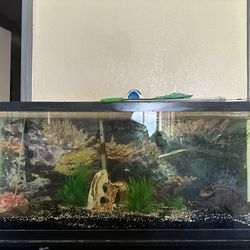Fish Tank With Filter And Stand
