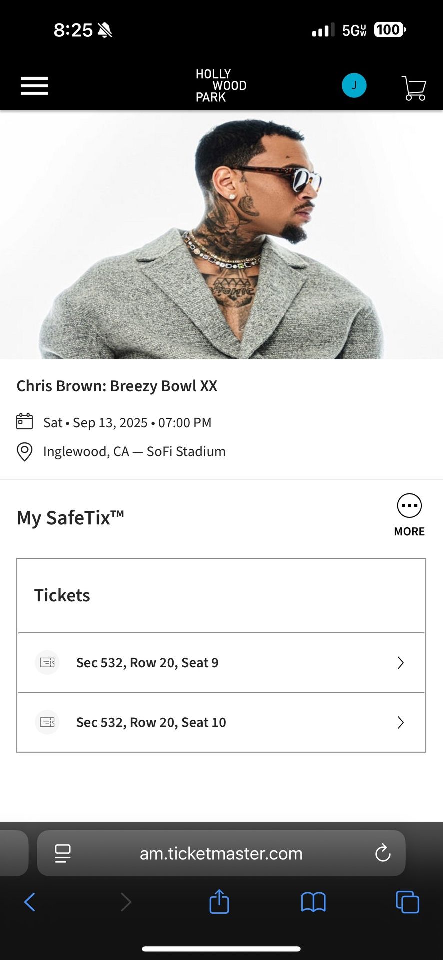 Chris Brown Ticket