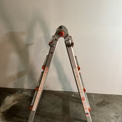 Little Giant 10103 Ladder System plus