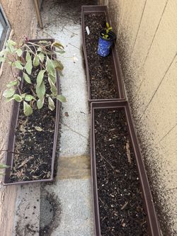 Planter Boxes