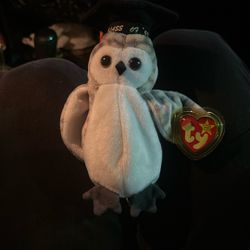 Wiser Beanie Baby Class O7 1999 Graduate Original Collectors