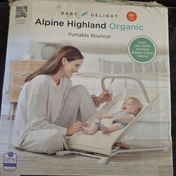 Portable Bouncer Seat