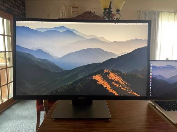 Dell P2417H Professional 24" Screen LED-lit Monitor