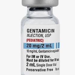 Gentamicin 
