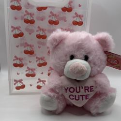 Valentines Day Bear 