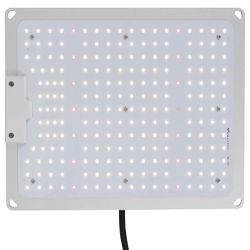 LED Grow Light