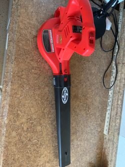 Sunjoe power blowers!