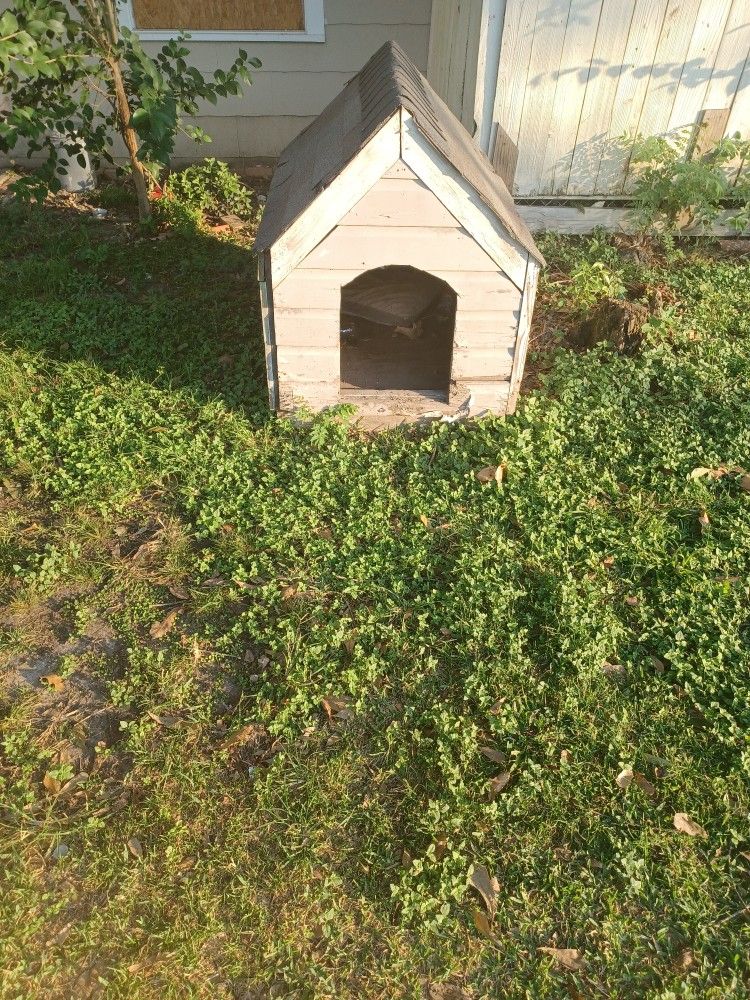 Dog House