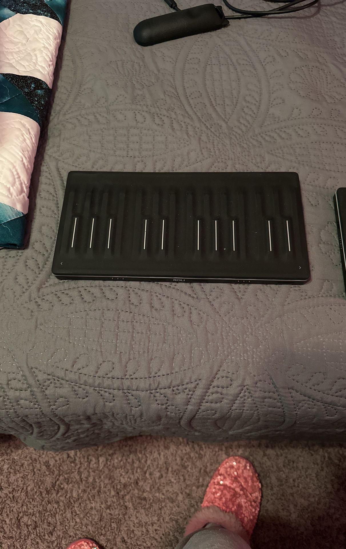 Roli Seaboard Block