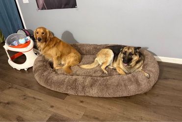 Dog bed