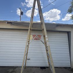 12 Foot Ladder 