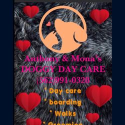 Dog Boarding Day Care 