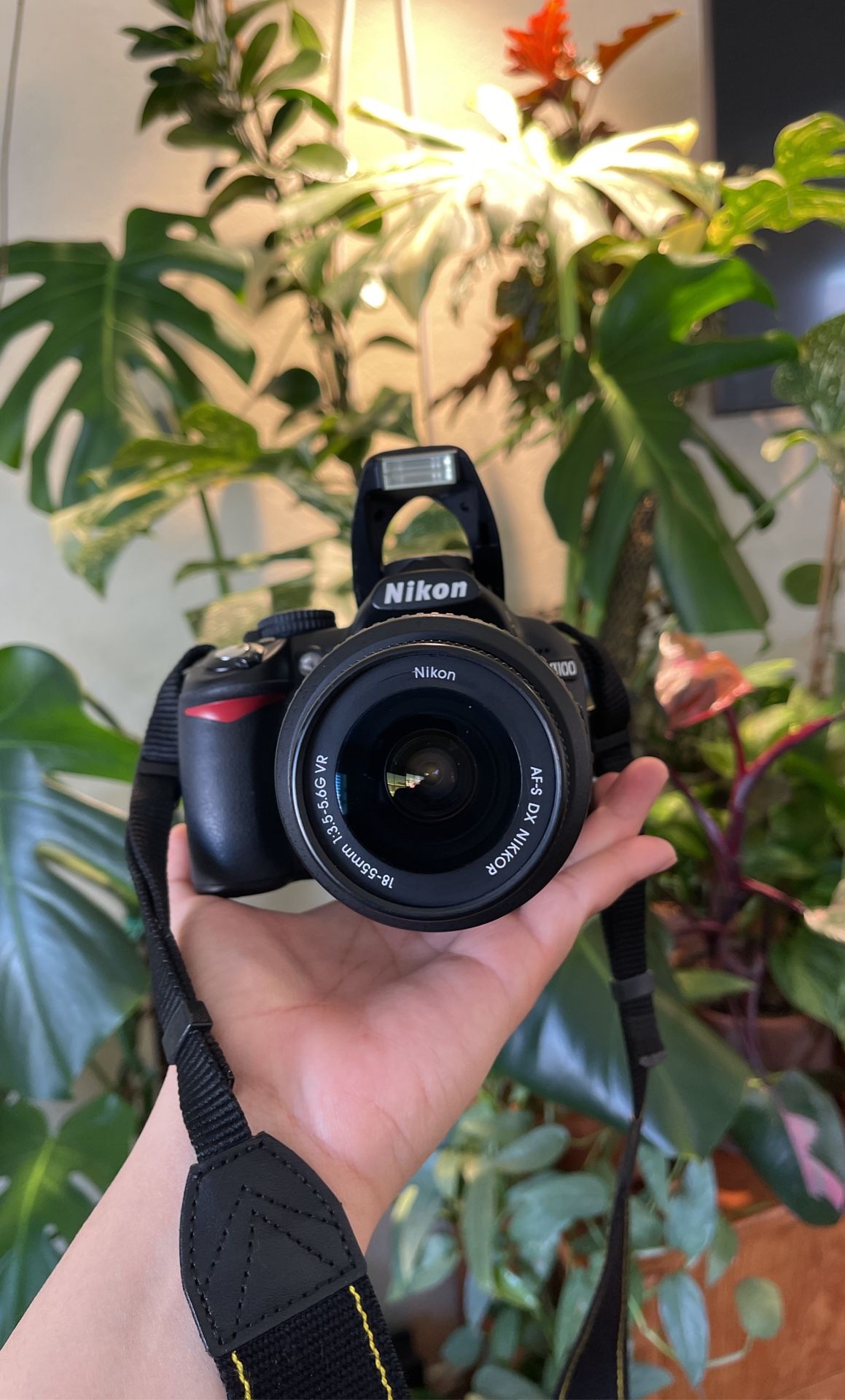 Nikon D3100
