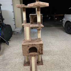 Cat Climbing Post