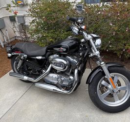 Harley Davidson 1200 custom low 2012
