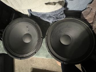 Vintage Speakers 18inches