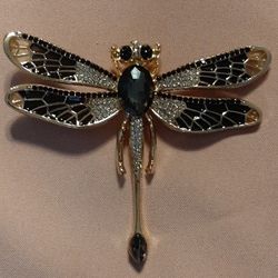 Large dragonfly brooch pin. 