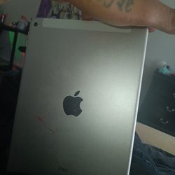 Apple Ipad