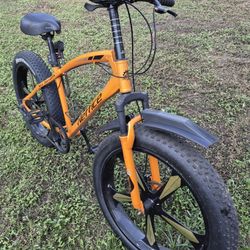 Fat Tire Bike