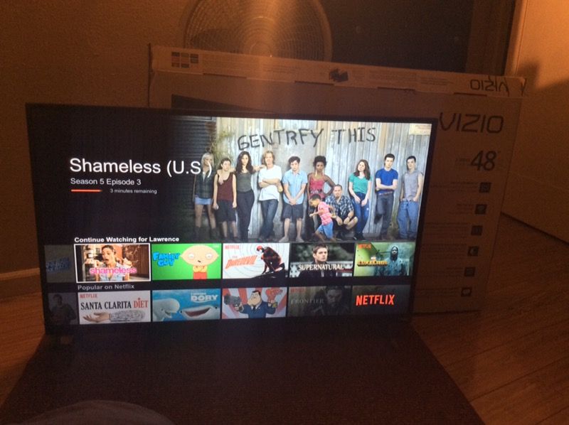 48 Inch Vizio Smart TV