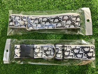 Dior Collar And Leash And Harness 