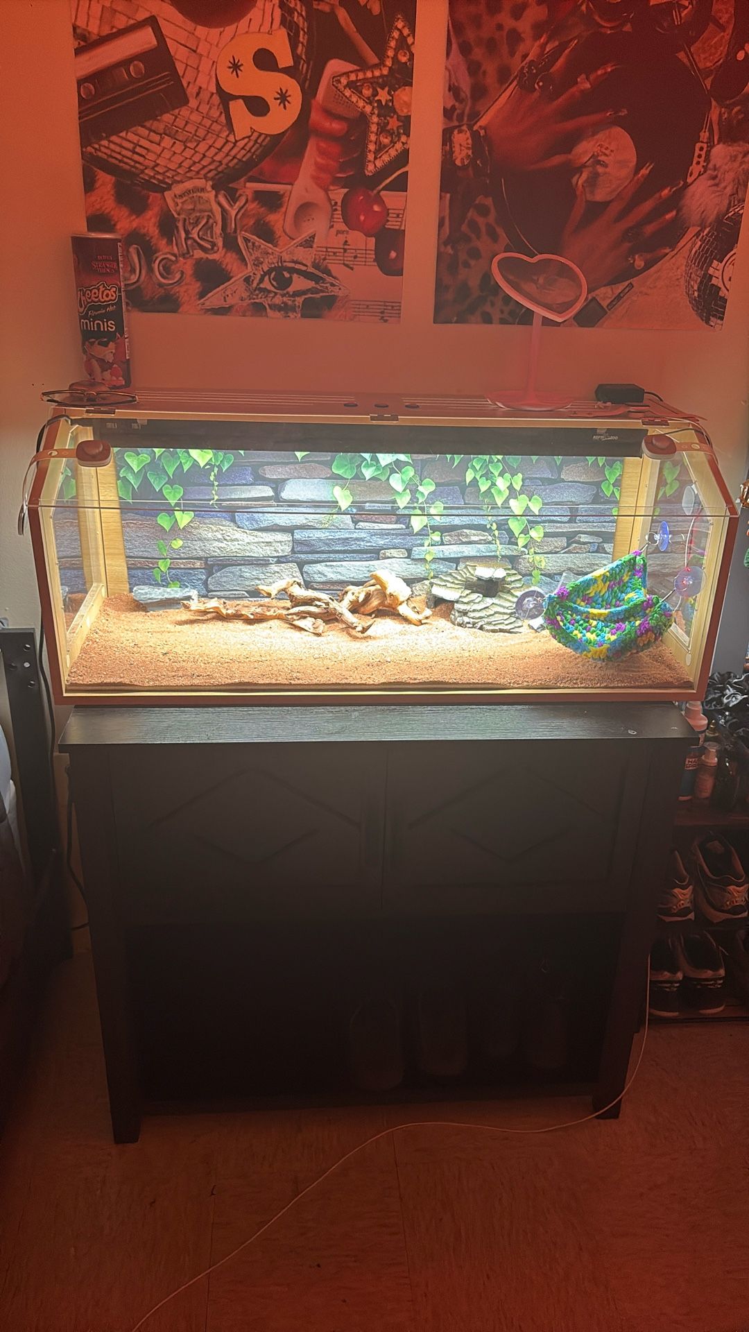 40 Gallon Reptile Tank