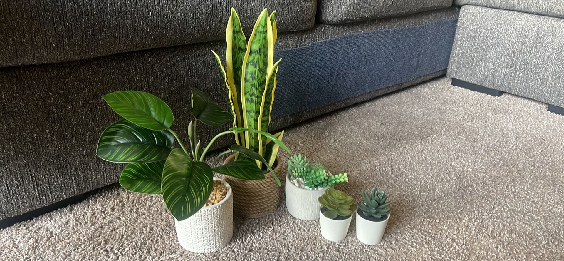 Assorted Fake House Plants