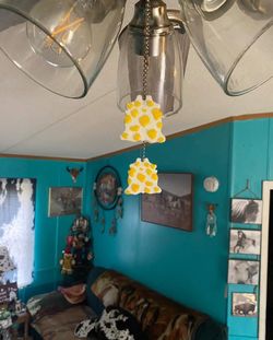 Resin Made Bull Skull/ Cowhide Ceiling Fan Extension’s