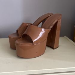 Shiny Brown Platforms