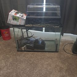 20 Gallon Tank With Basking Topper