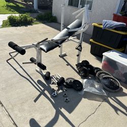 Weights - Bench - Dumb Bell Squat & Regular Bars. 