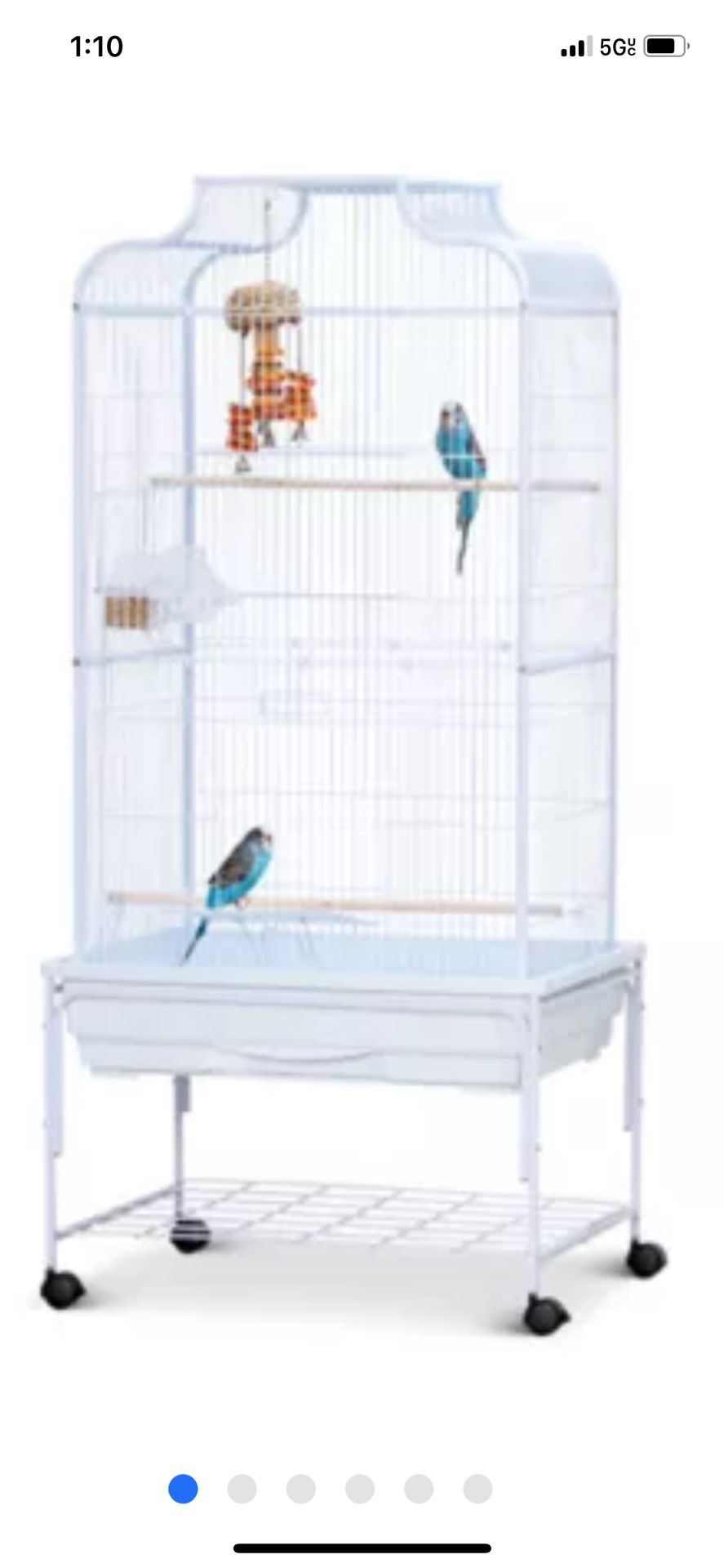 Bird Cage