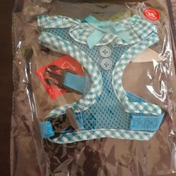 Turquoise Blue Dog Harness