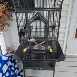 Bird Cage 