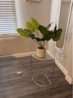 Plant +plant holder