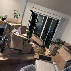 Lots Of Moving Boxes! All Sizes