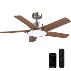 Ceiling fan