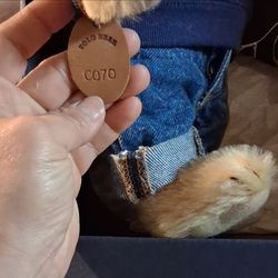 Ralph Lauren Polo USA Bear