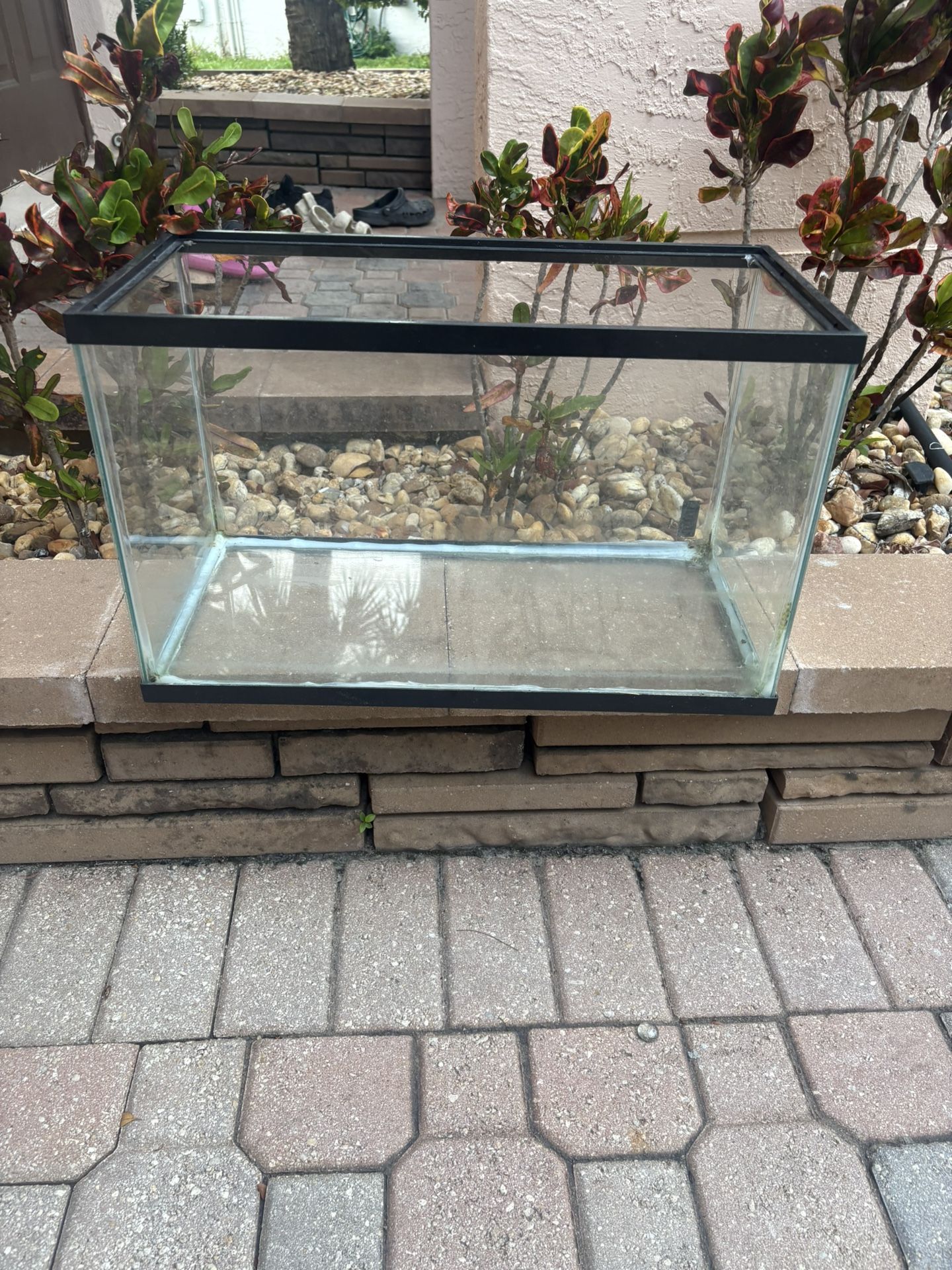 Fish Tank
