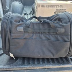 Little dog or a cat carrying  bag.