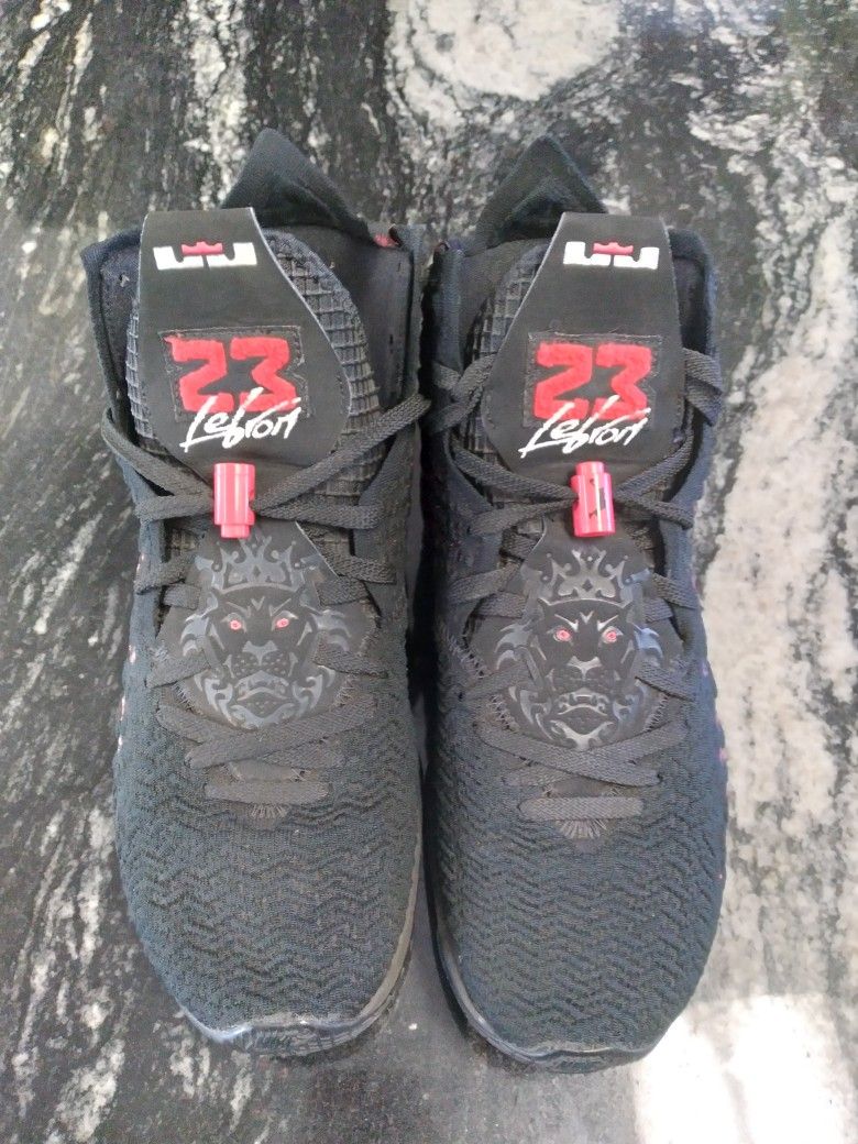 LeBron 17s