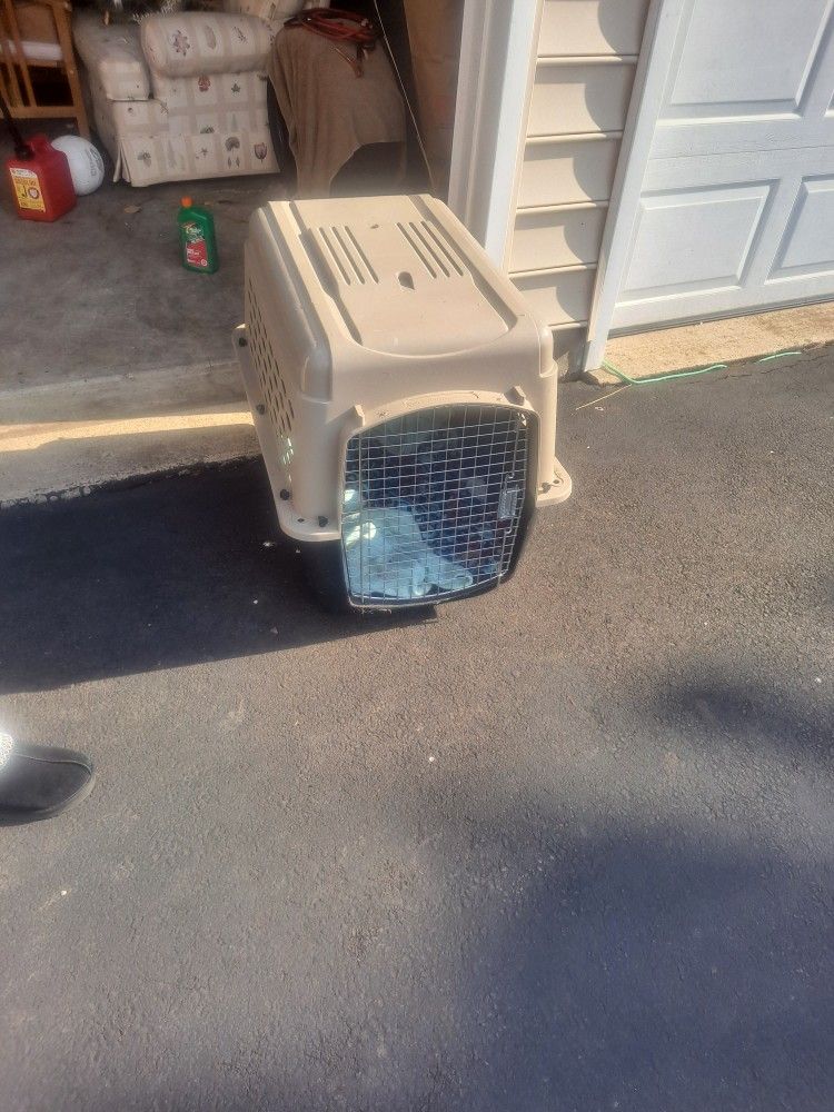 Pet Carrier
