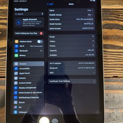 iPad 9th Gen 256GB 