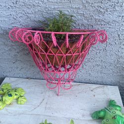 Metal Display And Plant 