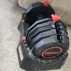 50 Pound Adjustable Dumbells Weider 