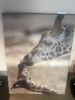 Giraffe Canvas Wall Art Kids Room - 3 paintings!