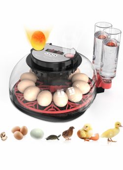 Incubadoras para incubar huevos Incubadora automática de huevos con control de temperatura Pantalla de humedad Capacidad de 12 huevos para pollo, pato