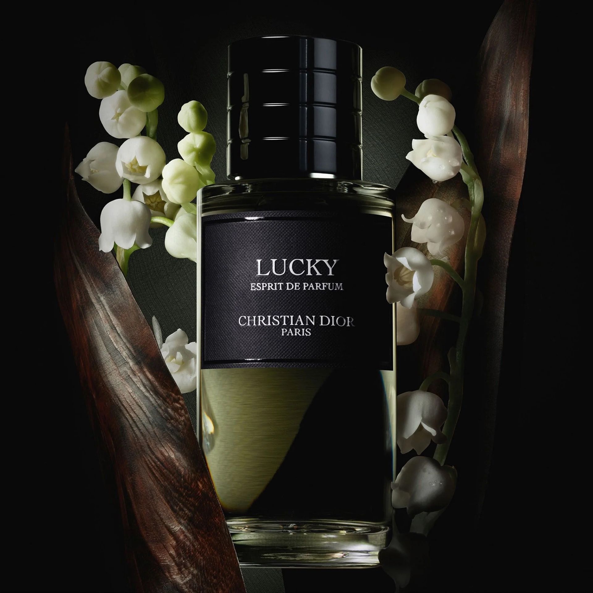 Perfume Dior
