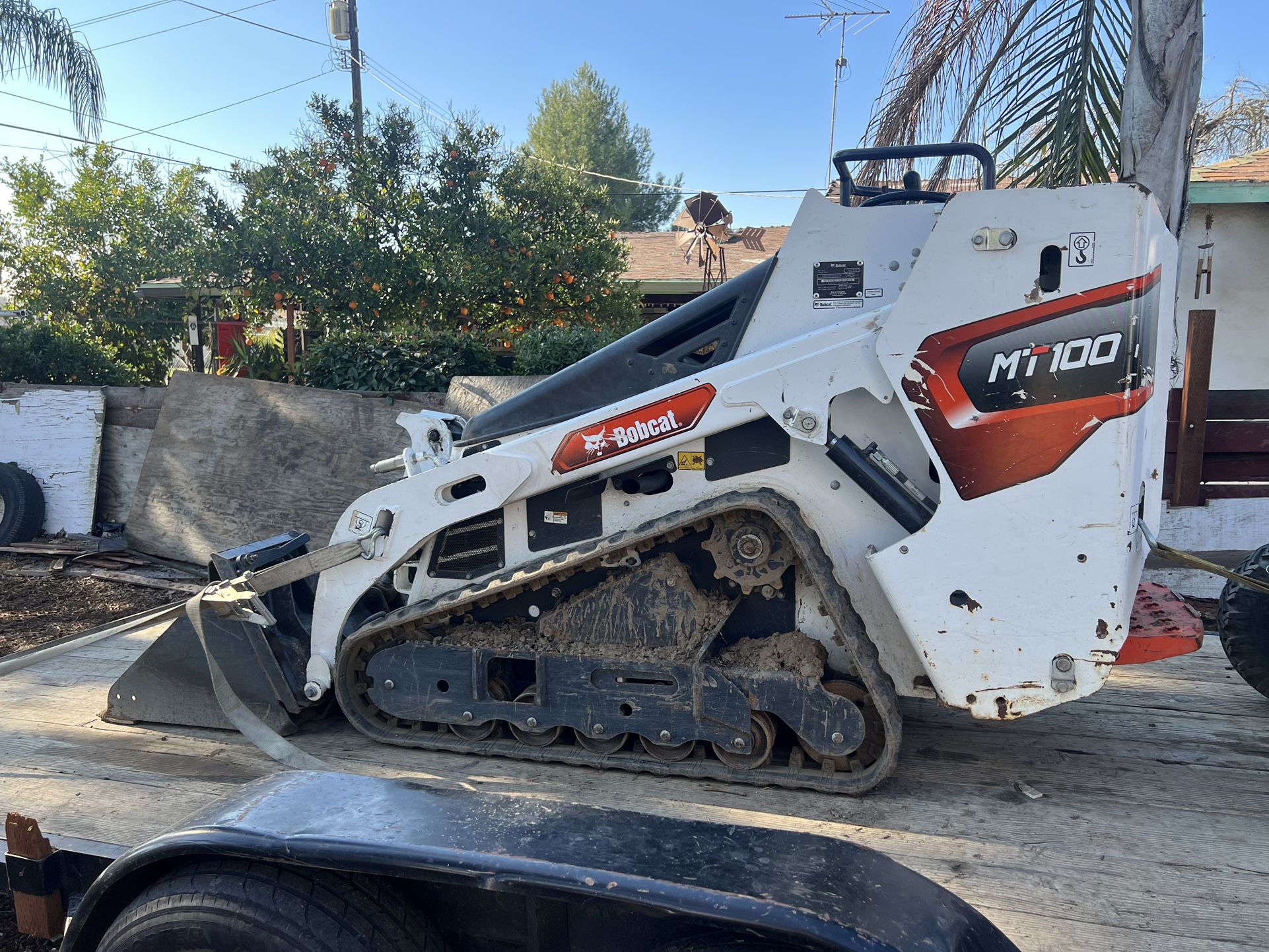 Bobcat Mt 100